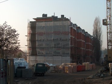 image-246